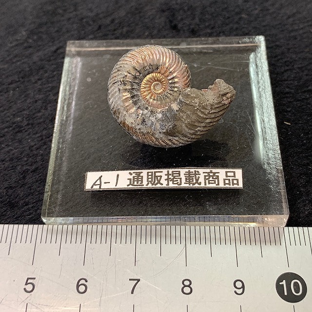 天然石のクリスタル・ワールド